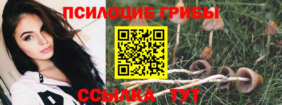 Псилоцибиновые грибы Magic Shrooms  Галлюциногенные грибы мухоморы  Вход с VPN  Жигулёвск 
